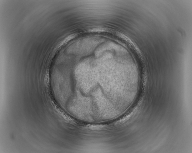 X0000111790825200908061135