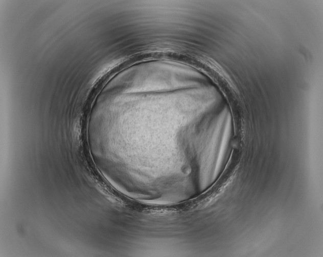 X0000111790826200908061135