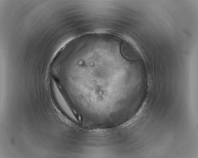 X0000111790827200908061135