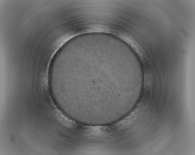 X0000111790828200908061135