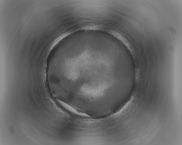 X0000111790829200908061135