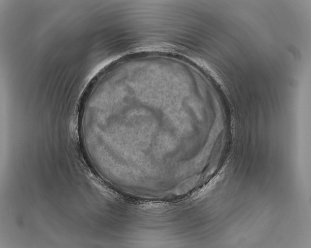 X0000111790830200908061135