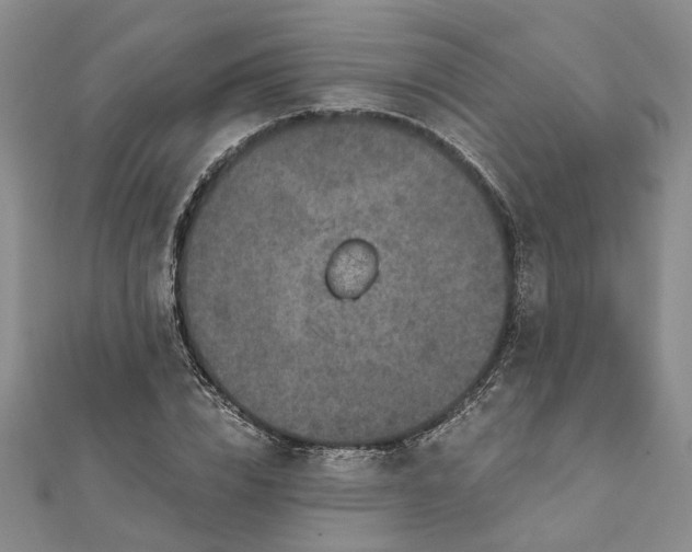 X0000111790832200908061135