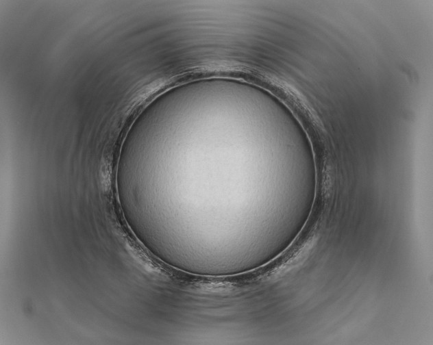 X0000111790833200908061135