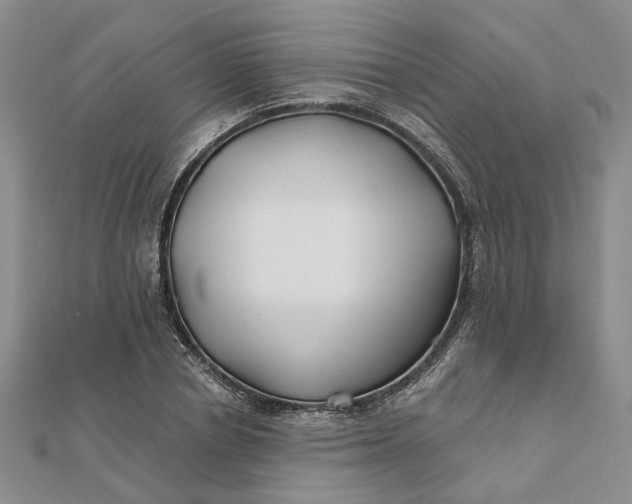 X0000111790834200908061135