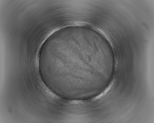 X0000111790835200908061135