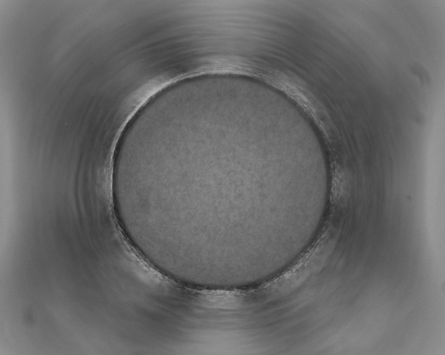 X0000111790836200908061135