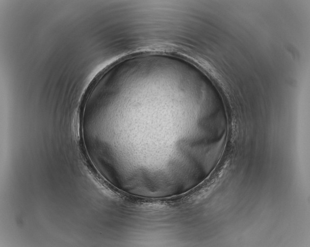 X0000111790838200908061135