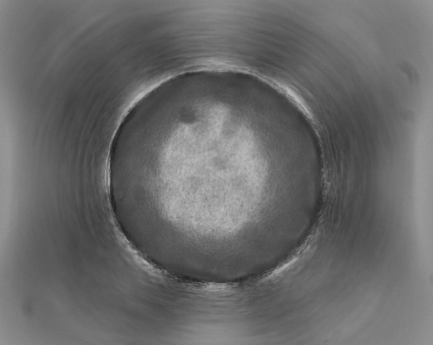 X0000111790839200908061135