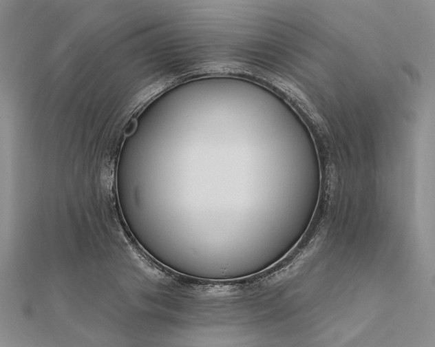 X0000111790841200908061135