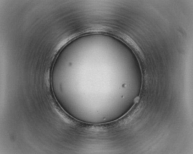 X0000111790842200908061135