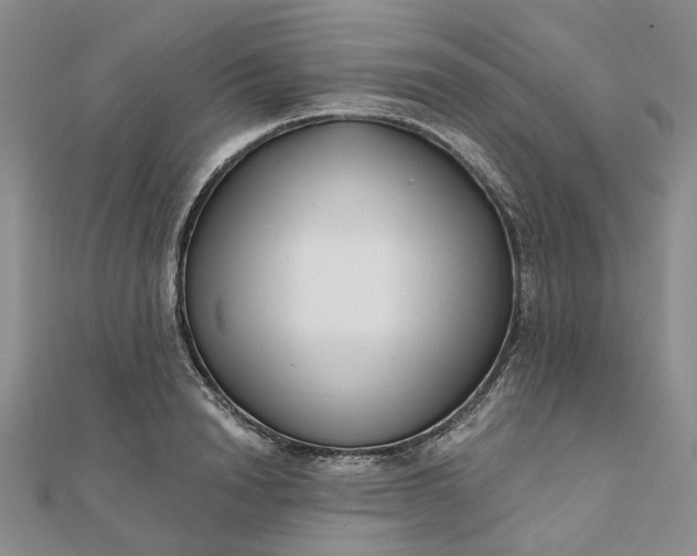 X0000111790846200908061135