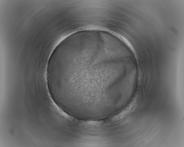 X0000111790847200908061135