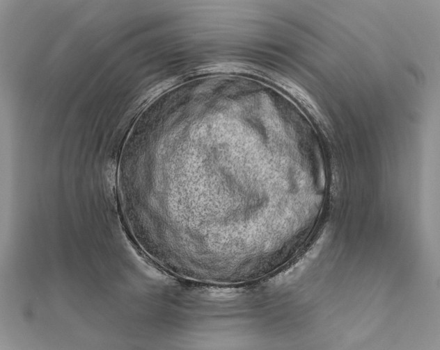 X0000111790849200908061135