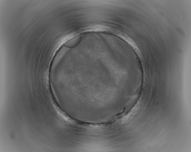 X0000111790850200908061135