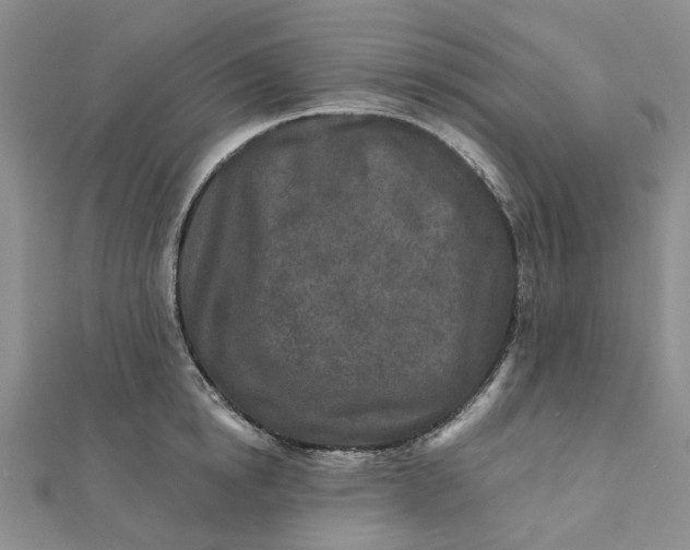 X0000111790854200908061135