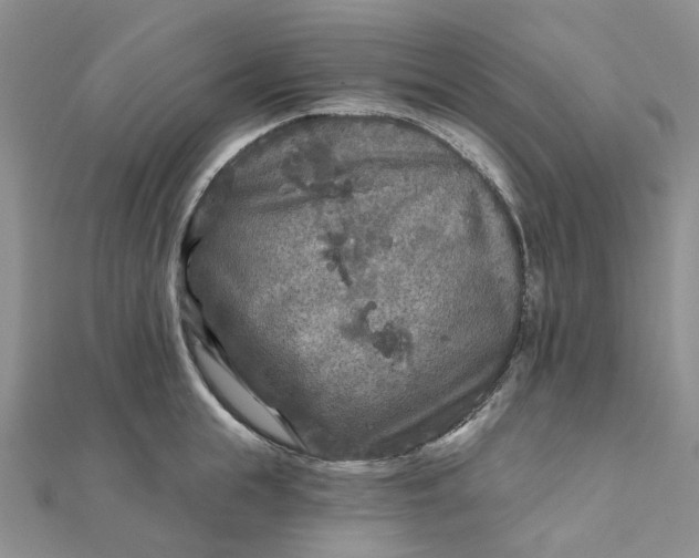 X0000111790855200908061135