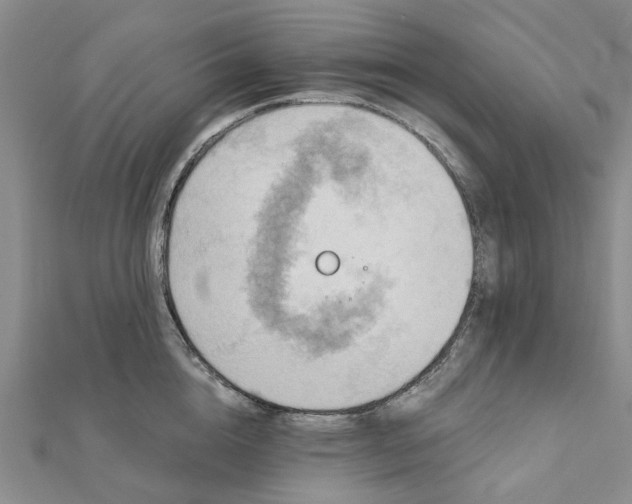 X0000111790856200908061135