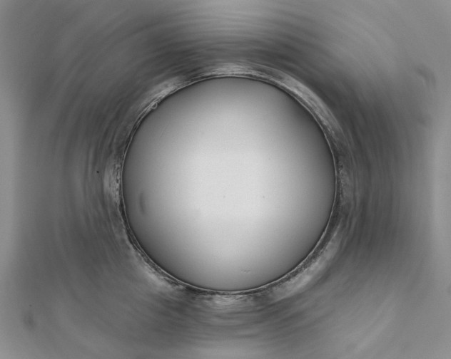 X0000111790857200908061135