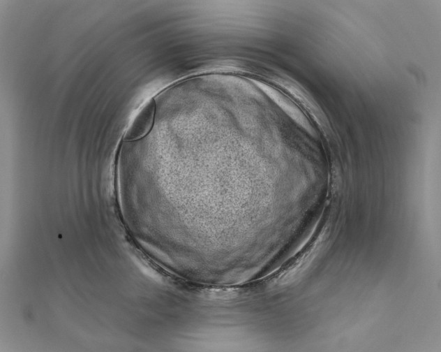 X0000111790858200908061135