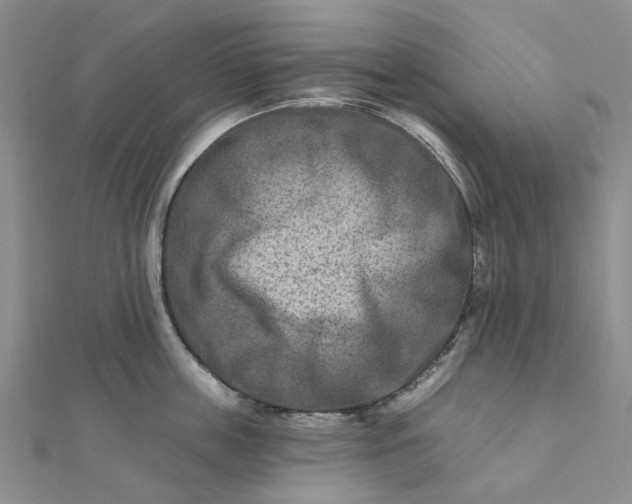 X0000111790859200908061135