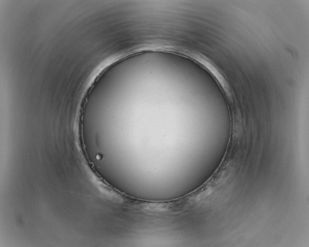 X0000111790861200908061135