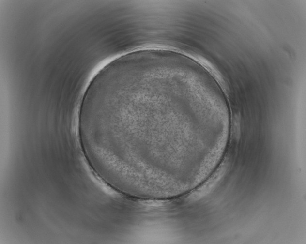 X0000111790862200908061135