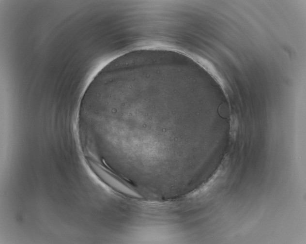 X0000111790863200908061135