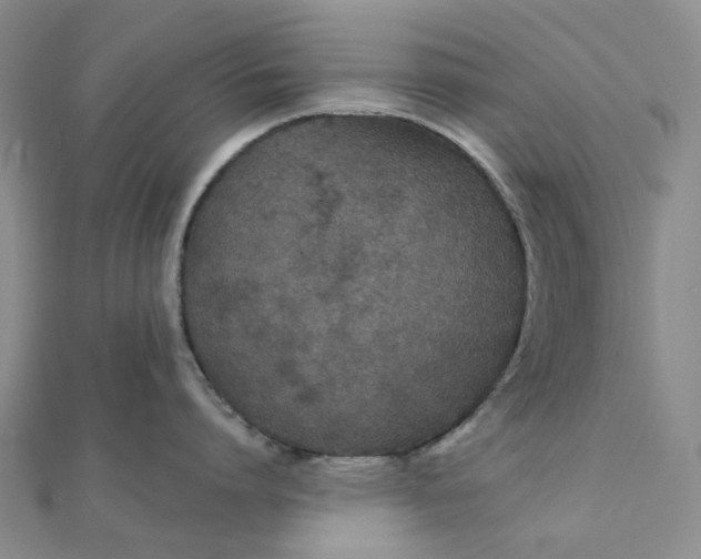 X0000111790864200908061135