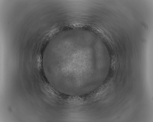 X0000111790866200908061134