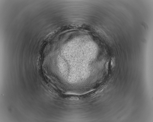 X0000111790867200908061134