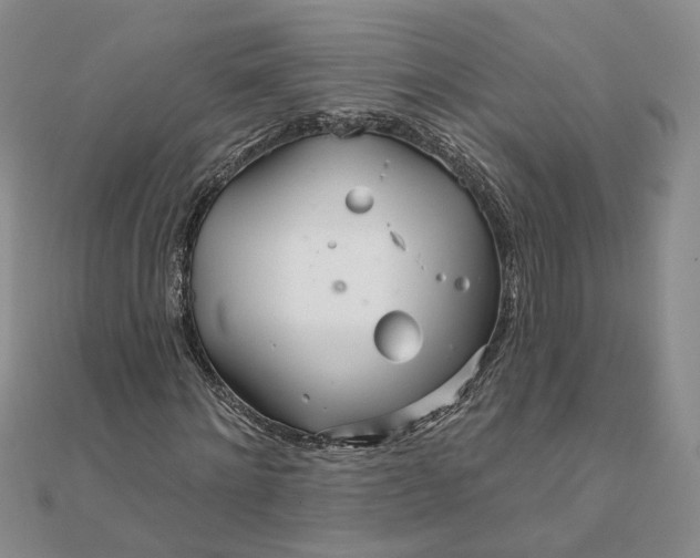 X0000111790868200908061134