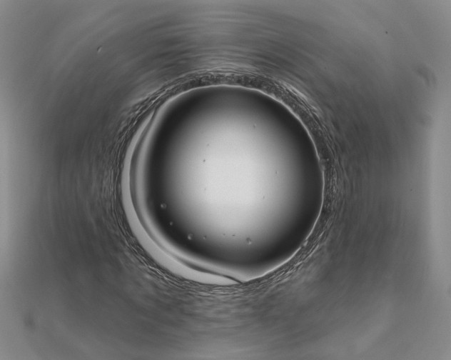 X0000111790869200908061134