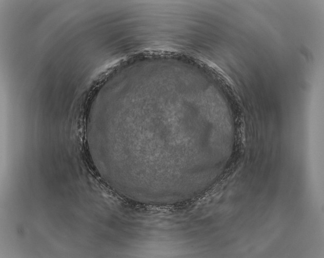 X0000111790870200908061134