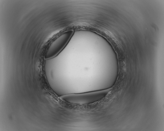 X0000111790872200908061134