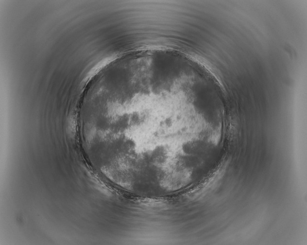 X0000111790874200908061134