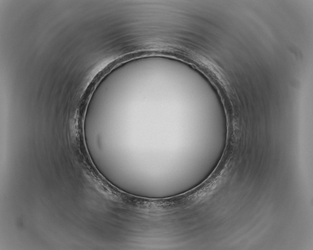 X0000111790875200908061134