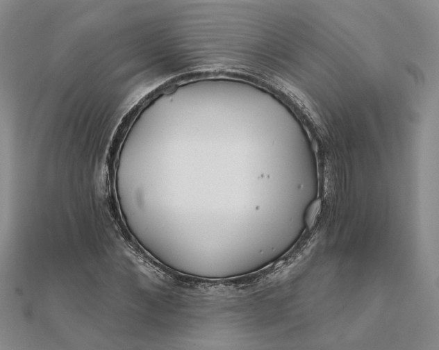 X0000111790876200908061134