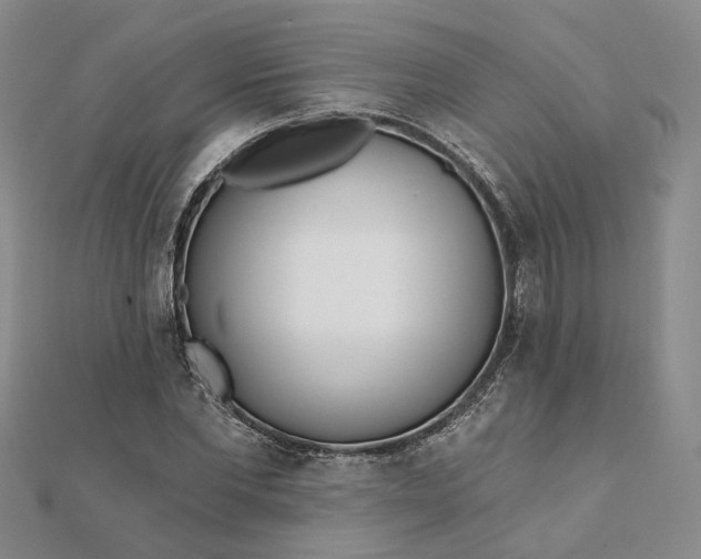 X0000111790877200908061134