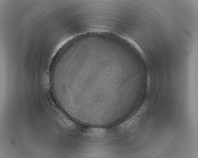 X0000111790878200908061134