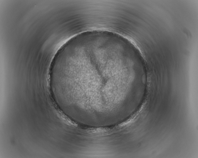 X0000111790879200908061134