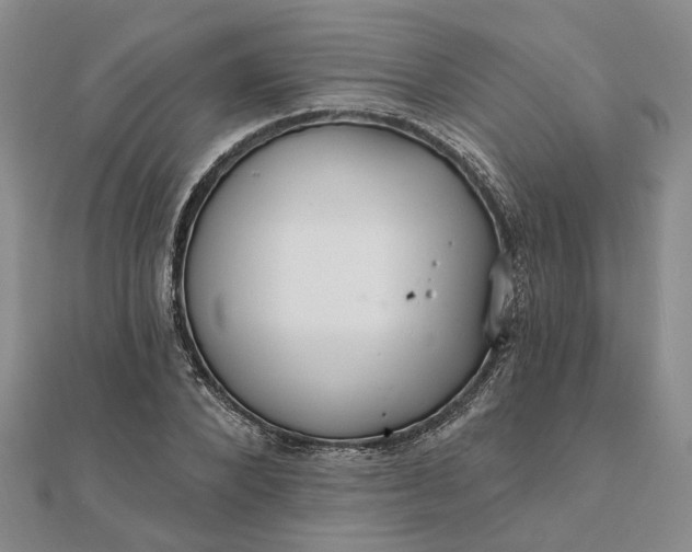 X0000111790880200908061134