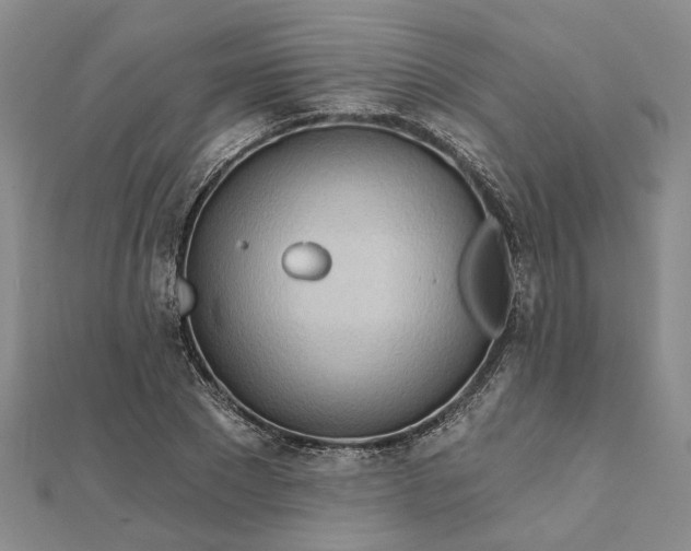 X0000111790881200908061134