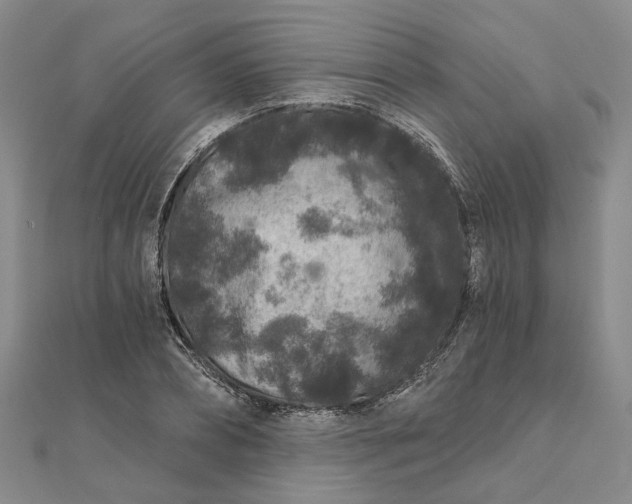 X0000111790882200908061134