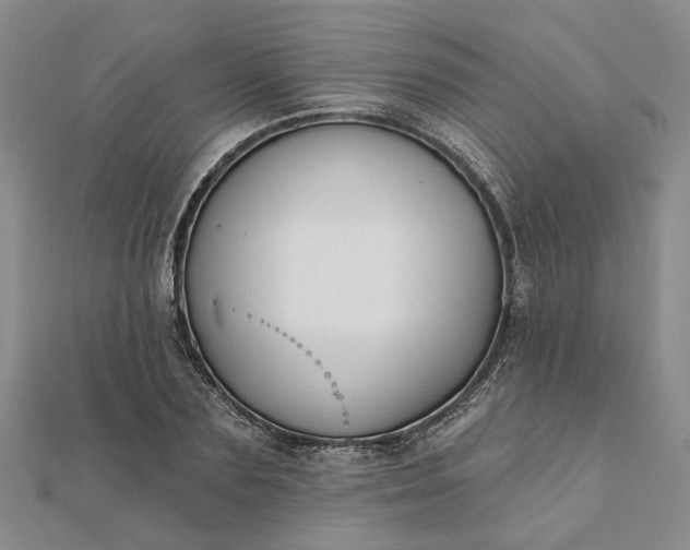 X0000111790883200908061134