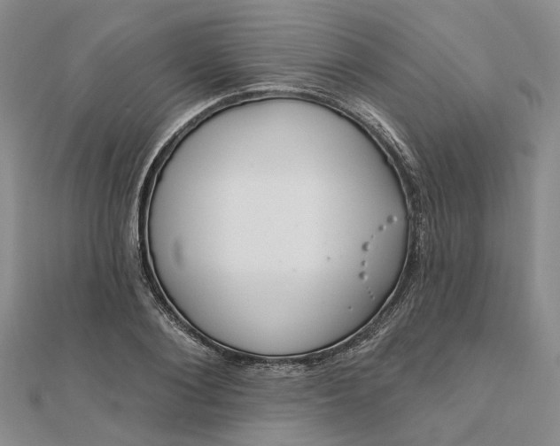 X0000111790884200908061134