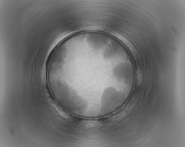 X0000111790886200908061134