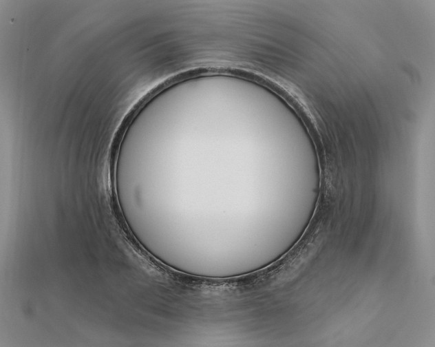 X0000111790887200908061134