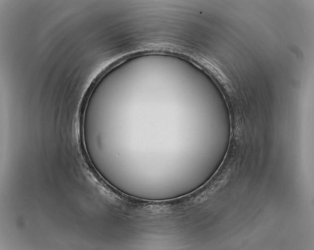 X0000111790888200908061134