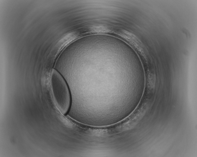 X0000111790889200908061134